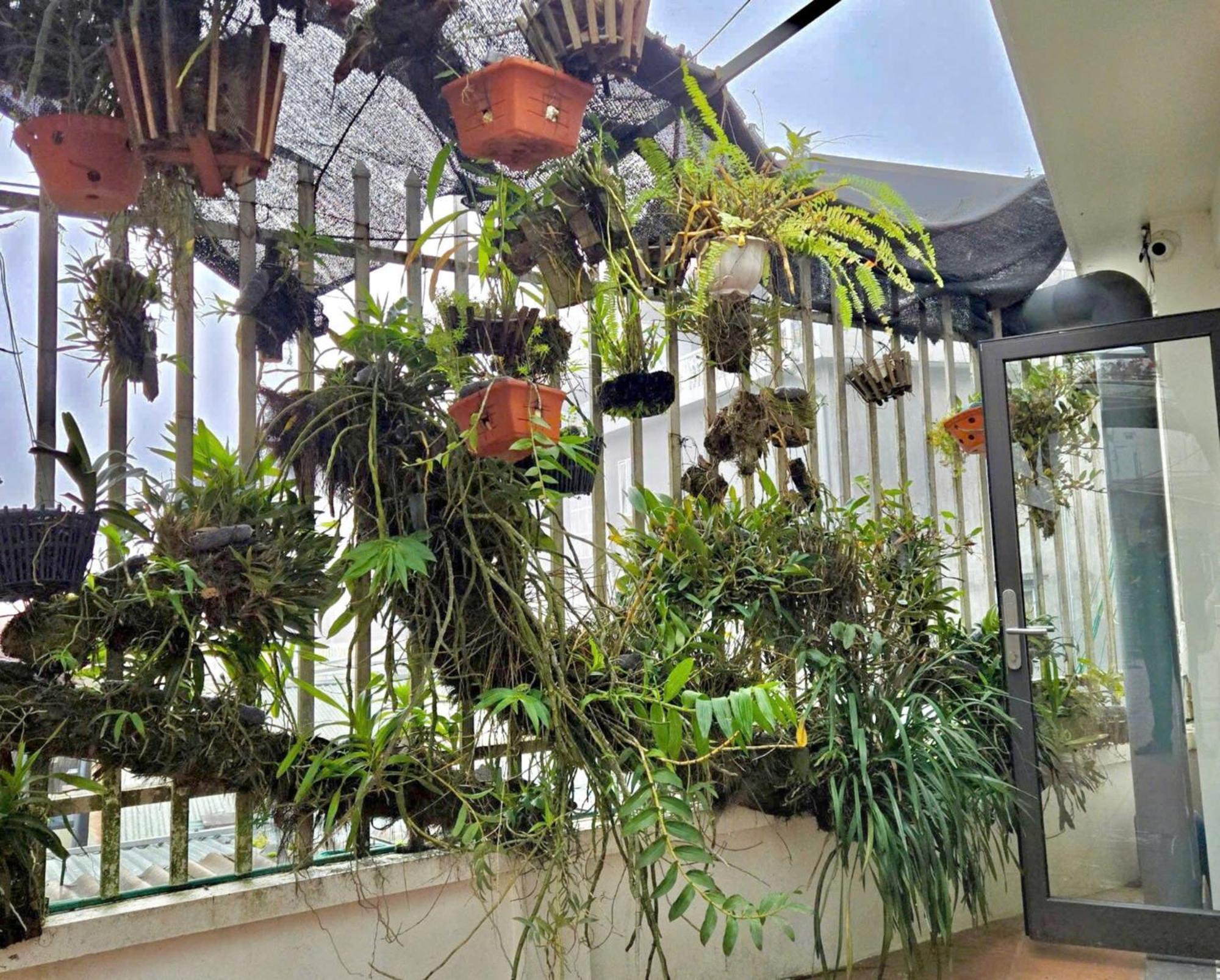 Sapa Village Hotel Zewnętrze zdjęcie